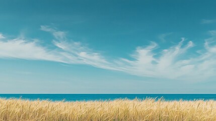Tranquil Seascape with Golden Grass and Blue Sky