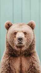 Obraz premium Close up Portrait of a Grizzly Bear with a Serious Expression
