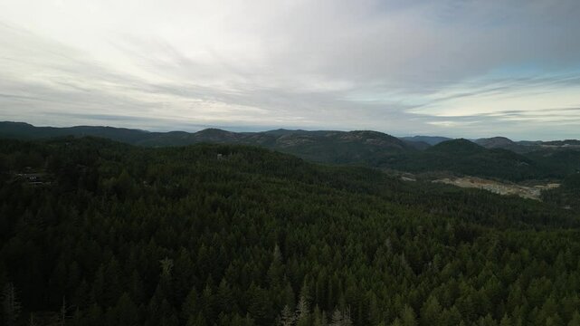 Aerial above forest on Vancouver Island British Columbia Canda in summer