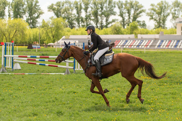A young woman goes in for horseback riding. 