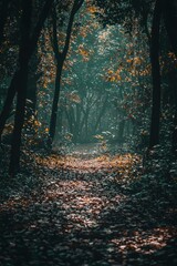 Fototapeta premium Scenic Autumn Forest Path with Lush Foliage and Sunlight Filtering through the Trees