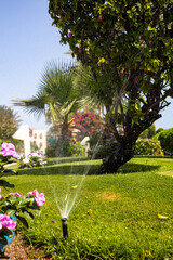 A lawn sprinkler is currently spraying water on a lush green lawn