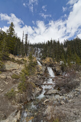 Tangle Falls in the Spring