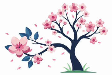 Fototapeta premium Pink flower, Cherry blossoms tree isolated on white background