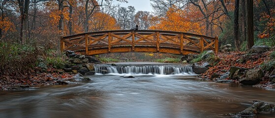 Fototapeta premium Wooden Bridge Over a Stream and Waterfall in Autumn Forest