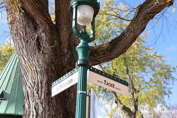 Street signs on the plains Abraham with an old floor lamp. Names of road in the Battlefield park in...