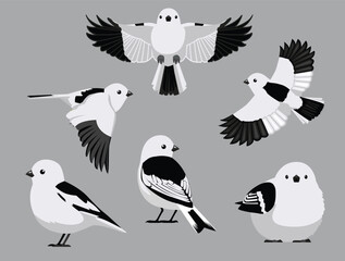 Snow Bunting Bird Winter Various Poses Cartoon Vector Character