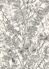 Botanical line art floral pattern with wild and dry herbs and leaves. Vintage vector illustration . Black and white ornament.