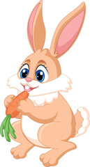 cute rabbit cartoon character pose eating carrot