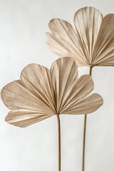Elegant dried leaves create a stylish and natural decor element, perfect for modern interiors and minimalist designs.