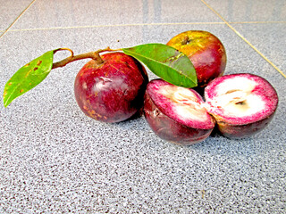 Chrysophyllum Cainito