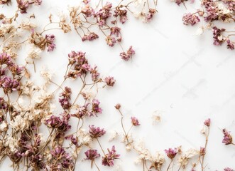 Delicate dried flowers arranged in a frame on a white background.