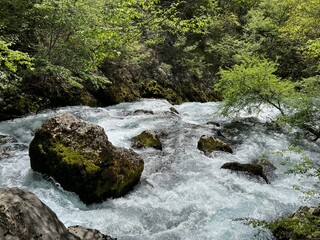The upper course of the Zrmanja River and immediately after the source (Velebit Nature Park, Croatia) - der Oberlauf des Flusses Zrmanja und unmittelbar nach der Quelle (Naturpark Velebit, Kroatien)