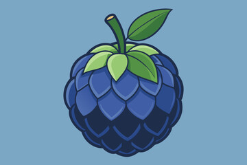  custard apple vector art illustration 