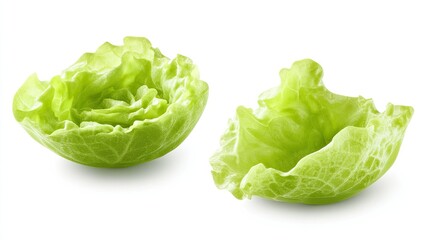 Fresh Green Lettuce for Culinary Use and Presentation