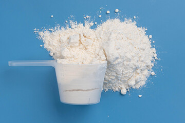 White protein powder, collagen supplement, or baby formula in measuring scoop on blue background. Concept of health, wellness, child food nutrition, fitness, skincare, and childcare. 