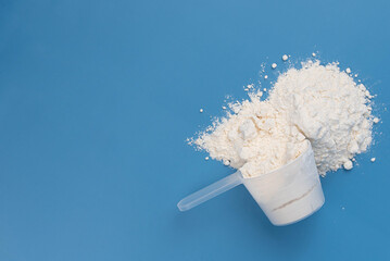 White protein powder, collagen supplement, or baby formula in measuring scoop on blue background. Concept of health, wellness, child food nutrition, fitness, skincare, and childcare. 