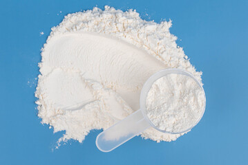 White protein powder, collagen supplement, or baby formula in measuring scoop on blue background. Concept of health, wellness, child food nutrition, fitness, skincare, and childcare. 