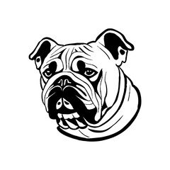 bulldog head outline hand drawing illustration