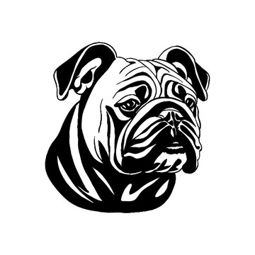 recommend clip art: bulldog line art outline illustration