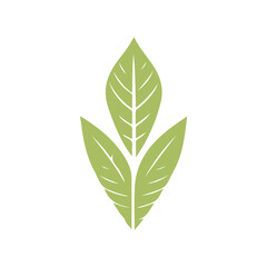 Naklejka premium Leaf Design Logo