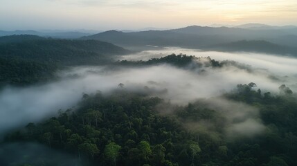 Fototapeta premium Aerial view of misty mountains at sunrise