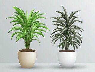 Stunning detailed illustrations of house plants in modern aesthetic for home decor and design enthusiasts