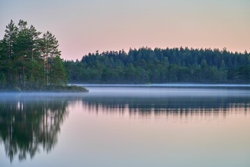 Misty Lake at Dawn with Pine Reflections