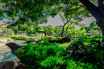 natural background of many species of plants that are laid out in the park, for the propagation of the species and to provide shade for those who stop by while traveling to study the ecology.