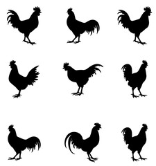 Rooster silhouette icon set, illustration. vector