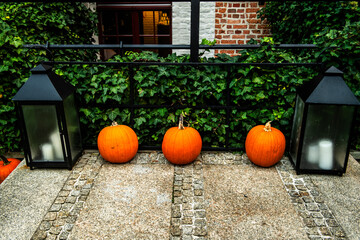 dynia, jesienią, halloween, opad, dynia,  © Krzysztof  Jaworski