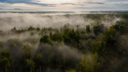 fog over the forest at dawn in autumn from the height of a drone