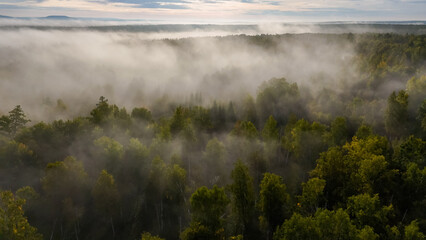 fog over the forest at dawn in autumn from the height of a drone