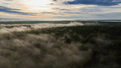 fog over the forest at dawn in autumn from the height of a drone