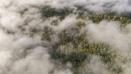 Flying above the clouds at dawn in autumn