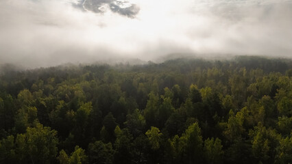 Flying above the clouds at dawn in autumn