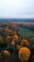 Autumn bright colors of forrest and rolling hills , above view