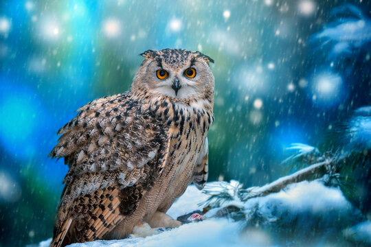 A majestic owl perched in the snow-covered forest during a serene winter snowfall at twilight