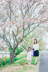 Fototapeta premium 入学式に行く女の子とお母さん