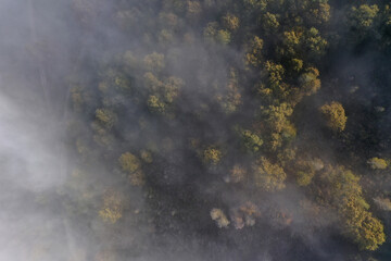 Aerial top down view of autumn misty forest canopy