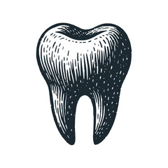 Tooth root. Black white vector illustration.