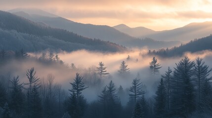 Misty Mountain Sunrise with Evergreen Trees and Fog