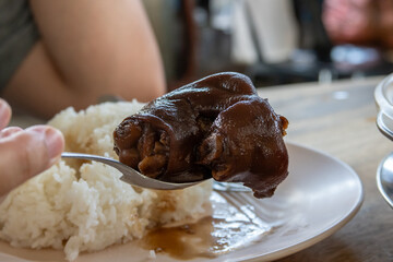 delicious braised pig's trotters with brown soya sauce, rice wine vinegar. chinese food