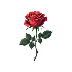 Fototapeta premium Rose vector art design
