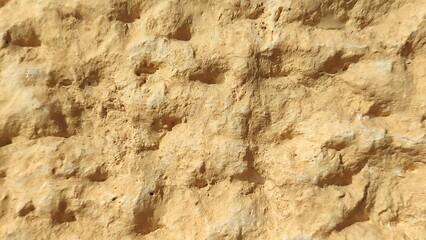 stone wall texture