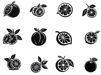Collection of citrus slices - orange, lemon, lime and grapefruit, icons set, black isolated on white background, vector illustration.