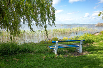 Scenic lakeside rest spot featuring a willow tree, natural reed beds,and beautiful water views.  A shaded,secluded and peaceful waterfront scenery with a public seating bench at Lake Colac,Australia. 