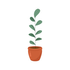 Plant Illustration. Stunning Plant Illustrations. Plant Illustration Styles. House plant. Flower pot. 