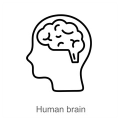 human brain