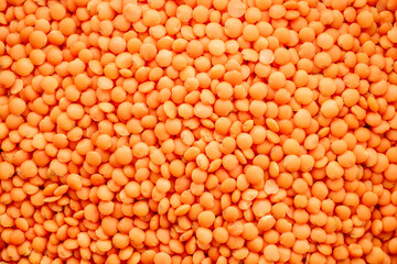 Raw red lentils, macro, top view.